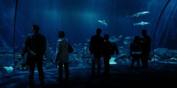 visite-aquarium-saint-malo.jpg